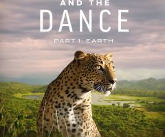 Explore the Wonders of God's Creation With Scientist Gordon Wilson in 'The Riot and the Dance'