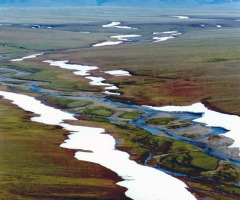 Evangelicals Oppose Drilling in the Arctic Refuge