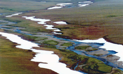 Evangelicals Oppose Drilling in the Arctic Refuge