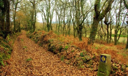 Fake Signs Along Camino de Santiago Pilgrimage Paths Are Leading Christians to Bars