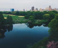 Study: Parks Shown to Have Positive Impact on Mental Health, Can Also Help Alleviate Depression