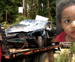 'Hero' 3-Y-O Boy Climbs From Wreck, Saving Brother Days After Mom Dies in Crash