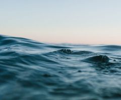 Church, Pilgrims Among Sirens