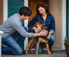 Ashley Judd reveals incredible moment her dog saved a man from committing suicide (exclusive)