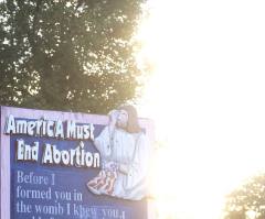 Can pro-life state constitutional amendments help end abortion?