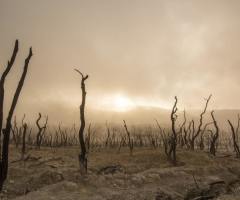 Beto O’Rourke, climate change, and the end of the world