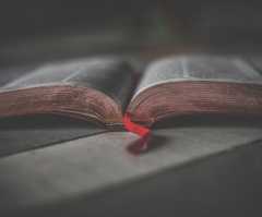 More Americans overall are reading the Bible, but many Christians are reading it less