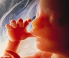 Abortions in England, Wales hit 10-year high: UK gov't report