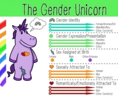 Teacher identifying as Mx., pushing 'Gender Unicorn' sign of schools turning into ‘sexual war zones’ 