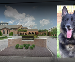 Church investigates bias after black cleaning woman told priest's dog 'kinda racist' 