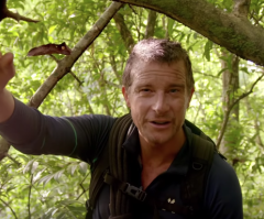 Man vs. Wild star Bear Grylls talks about most important part of his life — faith in Jesus