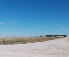 In the Texas High Plains, Lubbock’s wineries are a best-kept secret