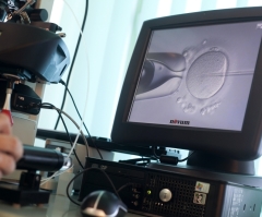 Babies born using IVF face increased risk of dying in first year: study