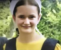 Prayers go up, search underway after Amish teen goes missing while walking home from church