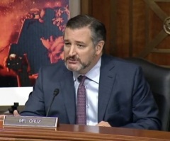 5 highlights from Senate hearing on anarchist violence: Cruz slams Dems for not denouncing Antifa