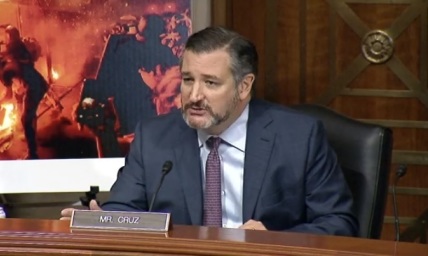 5 highlights from Senate hearing on anarchist violence: Cruz slams Dems for not denouncing Antifa