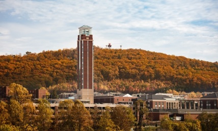 Liberty U hires former NFL player, retired coach for diversity roles after players transfer