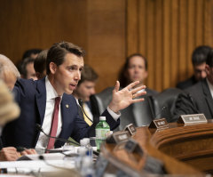 ‘Woke, liberal’ Big Tech firms trying to influence election against Trump, Sen. Hawley warns