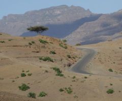 Satellite images show signs of mass graves near 2 Ethiopian churches after massacre: Amnesty 