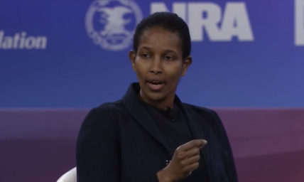 Ayaan Hirsi Ali says critical race theory is 'worst philosophy,' teaches kids to 'hate' each other