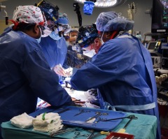 In historic surgery, man gets new heart from genetically-modified pig