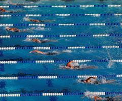 U Penn trans-identified swimmer wins 2 more races at meet against Harvard women