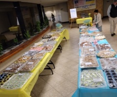 Kentucky church bake sale raises $145K to help Ukrainians fleeing Russian invasion