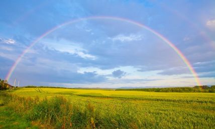 Revelation 4: The destruction of our planet and an emerald rainbow