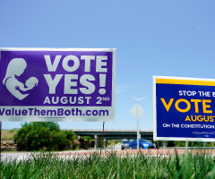 Should we put up political signs in our yards?