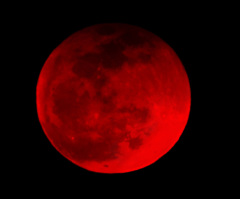 Total lunar eclipse to bring 'blood moon' over US as voters head to the polls for midterm elections