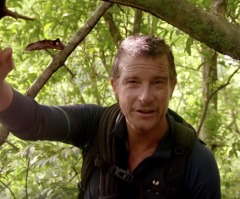 Bear Grylls says Jesus is ‘totally non-religious,’ cites Matthew 9:10-13: He ‘was a wild one’