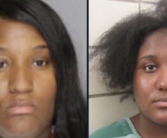 Mother stabs her 5 children killing 3 less than 2 years after twin sister kills own daughter