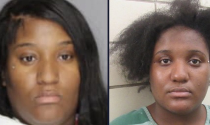 Mother stabs her 5 children killing 3 less than 2 years after twin sister kills own daughter