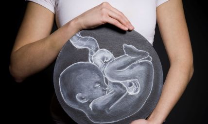 Population decline, artificial wombs and brain-dead surrogate mothers