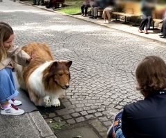 Man who spent $14K on dog suit to fulfill dream of becoming an animal goes for walk on a leash