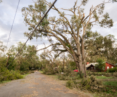 Hundreds sign up to help Hurricane Idalia victims: 'God always brings us people'