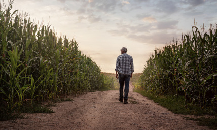 Will Christians work in Heaven? John Piper weighs in: 'We will not be disappointed'