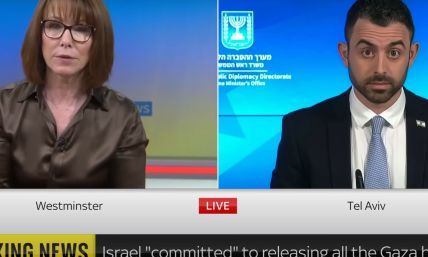 Reporter asks if Israel values Palestinian lives less than Israelis: 'Astonishing accusation'