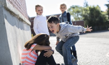 Schoolyard bullying 101: It's working on the Church