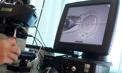 To Evangelicals: IVF bioethical questions to grapple with