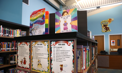 'Gender Queer' tops list of most challenged library books: American Library Association