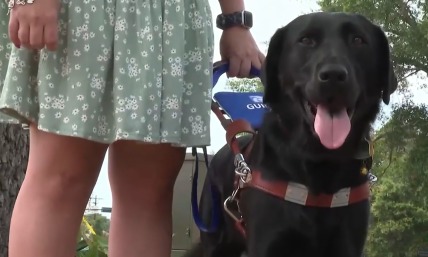 Blind woman denied entry into church because of guide dog