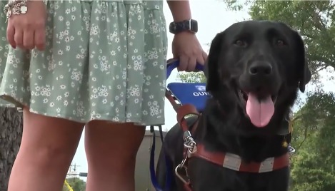 Blind woman denied entry into church because of guide dog