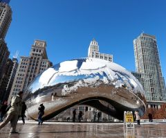 Chicago and the rotten harvest of Progressive policies