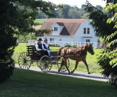 Mail-in voting may lead Amish to become deciding force in the 2024 election: GOP activist