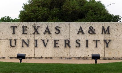 Judge blocks Texas A&M ban on drag shows, cites Shakespearan cross-dressing