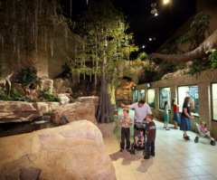 Creation Museum Still Draws Crowds, Ruffles Feathers After 2 Years