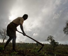 Prolonged Droughts Add to Woes of Millions in East Africa