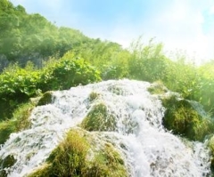 Streams of Living Water