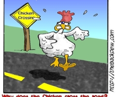 Chicken Crossing